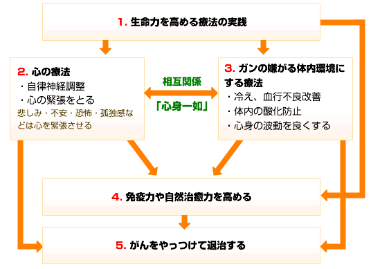 総合的に取り組んでゆくガン代替療法です。